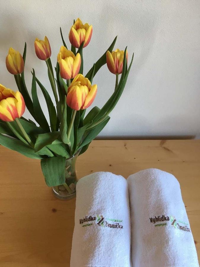 Horský apartmán Vyhlídka Rejvíz Zlaté Hory Esterno foto